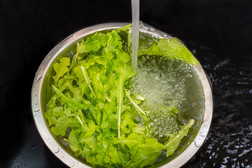 Lettuce in a metal dish under a stream of water on a black background. Water bubbles on lettuce leaves.