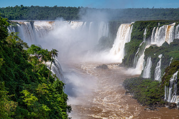 Fototapeta premium View to Devil`s Throat and Iguazu Falls gorge with brown river, white cascading falls and lush green rainforest in sunshine