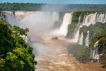 View to Devil`s Throat and Iguazu Falls gorge with brown river, white cascading falls and lush green rainforest in sunshine