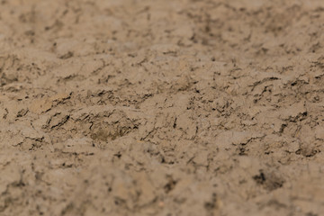 close-up brown natural soil ground