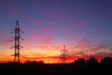 Naklejka premium Power lines on a pink sky background. Sunrise over the forest