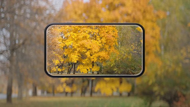 Concept of mobile photography and videography. Presentation of new smartphone or camera app. Rich autumn colors throw smartphone camera. Professional photo and video camera premium mobile app