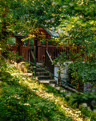 wooden arbor among tall trees