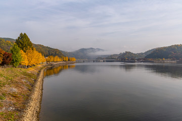 Fototapeta premium A landscape view of a Lake be colored by Autumn Fall Maple