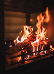 Burning firewood in the fireplace. Bonfire photo