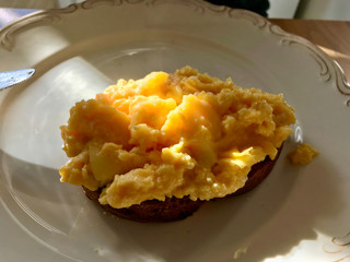 Creamy Scrambled Eggs on Bread with Morning Sunlight / Natural Daylight.