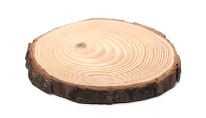 Cross section of tree trunk, stump, isolated on white background