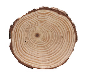 Cross section of tree trunk, stump, isolated on white background