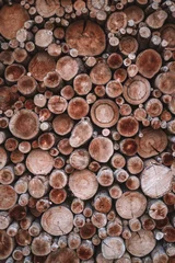 Möbelaufkleber A lot of round firewood on top of each other © Дмитрий Серебряков