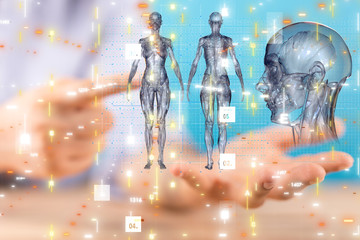 Obraz premium interface as medical network concept