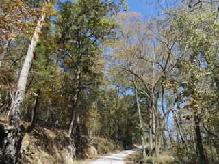 Colors of autumn in the trees along a rugged gravel road in Arkansas