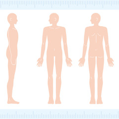 男性　メディカル　美容　裸　ヌード　全身　正面・背面　横向き