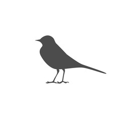 Wagtail icon. Small bird. Vector illustration