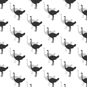 Ostrich is standing. Seamless wallpaper. Vector illustration