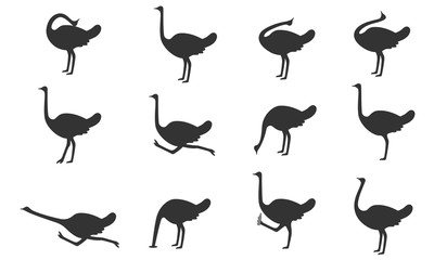 Set of ostriches in different poses. Flat icons. Vector illustration.