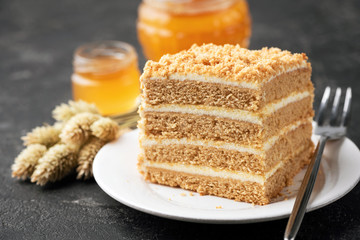 Layer cake Medovik, honey cake on white plate. Closeup view. Sponge cake of 4 honey layers with pastry cream