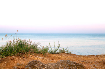 Beach in the evening against the background of a calm sea. Beach grass