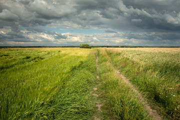 Fototapeta na wymiar Dirt road through fields and gray clouds on the sky