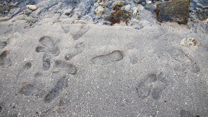 footprints of people walking on the beach