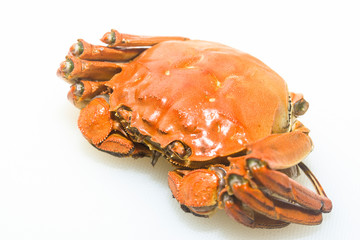 Steamed hairy crab, steamed crab.