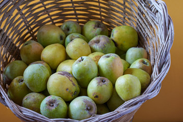  Basket of organic apples on a brown background.