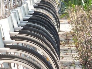 A close-up of rows of bicycle wheels