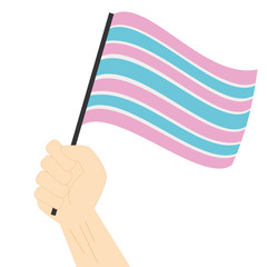Hand holding and raising Transsexual pride flag isolated on white background
