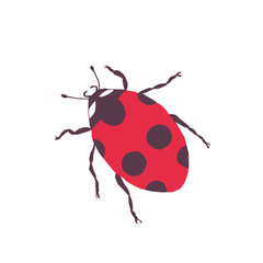 vector ladybug - element for design. postcard, poster, icon, decor. insect