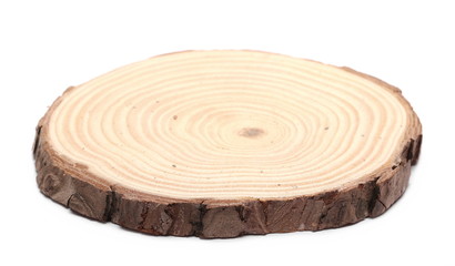 Fototapeta na wymiar Cross section of tree trunk, stump, isolated on white background