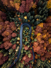 Wonderful curvy road trough the colorful autumn forest. Highway in Transylvania,Romania.Aerial view...