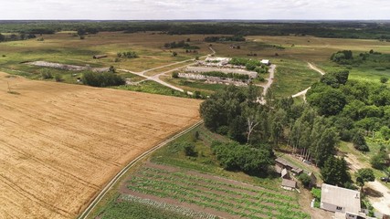 Agricultural fields, countryside. A shot from above.