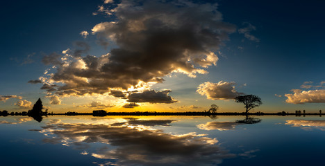 Panorama silhouette tree in africa with sunset.Tree silhouetted against a setting sun reflection on...