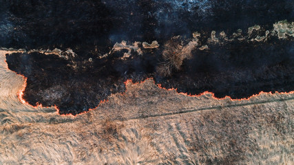 Forest and field fire. Dry grass burns, natural disaster. Aerial view.