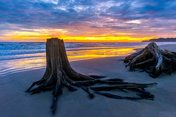 Beautiful landscape. Old stump in the lake after beautiful sunset.Chanthaburi province,Thailand,ASIA.