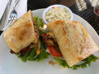 Delicious meal of chicken barbeque sandwich with vegetable salad