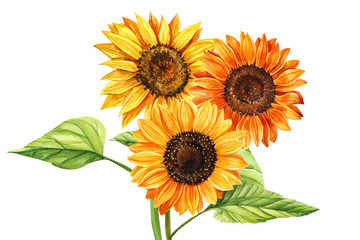 Obraz premium Watercolor bouquet of sunflowers and butterfly, hand drawn floral illustration isolated on white background. Perfect for wedding,invitation,template card.