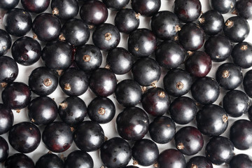 Black currant background on white, top view. Heap of black currant.