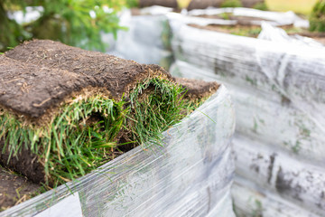 Stack of turf grass rolls for a lawn. Carpet of turf, roll of sod, turf grass roll for landscaping. Installation of a modern landscape and the environment.