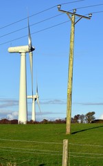 Wind turbine on a field in Anglesey with Pylon