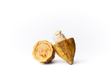 fresh cocoa fruit isolated white background. - image