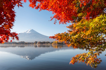 Fuji Mountain Reflection and Red Maple Leaves in Autumn, Kawaguchiko Lake, Japan