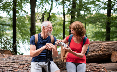 Senior tourist couple with flask on a walk in forest in nature, sitting.