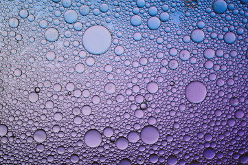 Background of colorful oil drops in water surface - abstraction