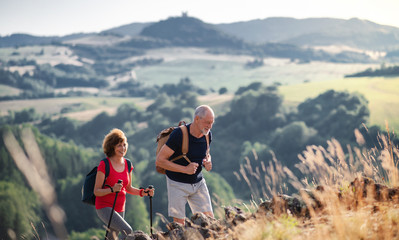 Senior tourist couple travellers hiking in nature, walking.