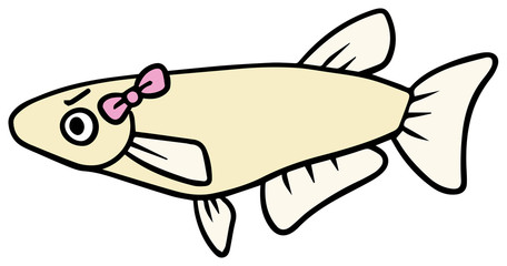 シンプルなメスのメダカのイラスト_怒り顔