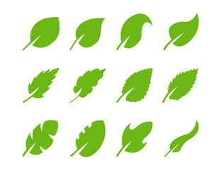 Set of green leaf of different design on white backgrund.