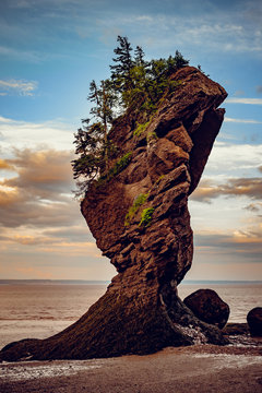 Sunset In Hopewell Rocks At Low Tide