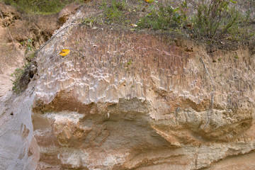 Cross section of sandy soil, relief vertical cut closeup, textured background image