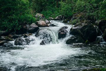 Atmospheric green forest landscape with mountain creek. Beautiful mystery taiga with wild river....