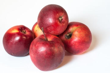 Fototapeta na wymiar rote Äpfel
